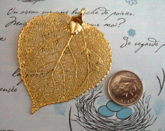 ASPEN LEAF Pendant Charm / Real Genuine Silver or 24k Gold Dipped, 1.5-2+", LARGE / brides bridal wedding favors gifts jewelry precious