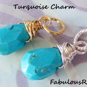 TURCHESE Ciondolo Ciondolo turchese Turchese ciondola gioielli con pietre preziose Dicembre Birthstone fascino gioielli turchese regalo gd2765 gemdone solo