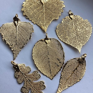 Aspen-Cottonwood-Laurel-Oak-Rose LEAF Acorn Pinecone Charm Pendant / Precious Silver or 24k Gold Dipped, Genuine Real Dipped Leaf