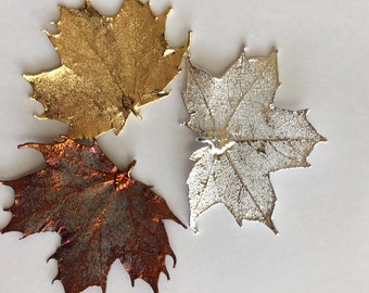 Maple LEAF Pendant Charm / Sterling Silver or 24k Gold Dipped / LARGE Real Genuine Leaf / tpl spl tp gdc