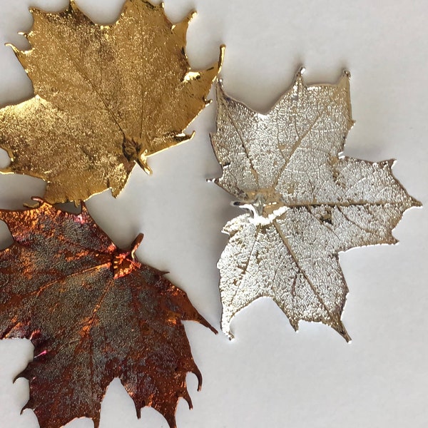 Maple LEAF Pendant Charm / Sterling Silver or 24k Gold Dipped / LARGE Real Genuine Leaf / tpl spl tp gdc