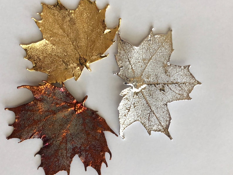 Charme de pendentif feuille d'érable / argent sterling ou 24k or trempé / LARGE Real Genuine Leaf / tpl spl tp gdc image 1