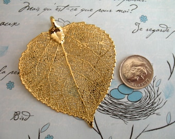 Genuine Real ASPEN Leaf Pendant Charm, Aspen Leaf Dipped in Sterling Silver or 24k Gold, 1.5-2+", LARGE, nature fall solo gdc woodland