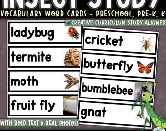 Insect Vocabulary Cards | Real Photo Science Word Wall (Digital PDF)