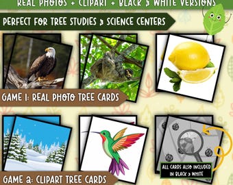 Tree Matching Game | Photo & Clipart Cards (Printable)