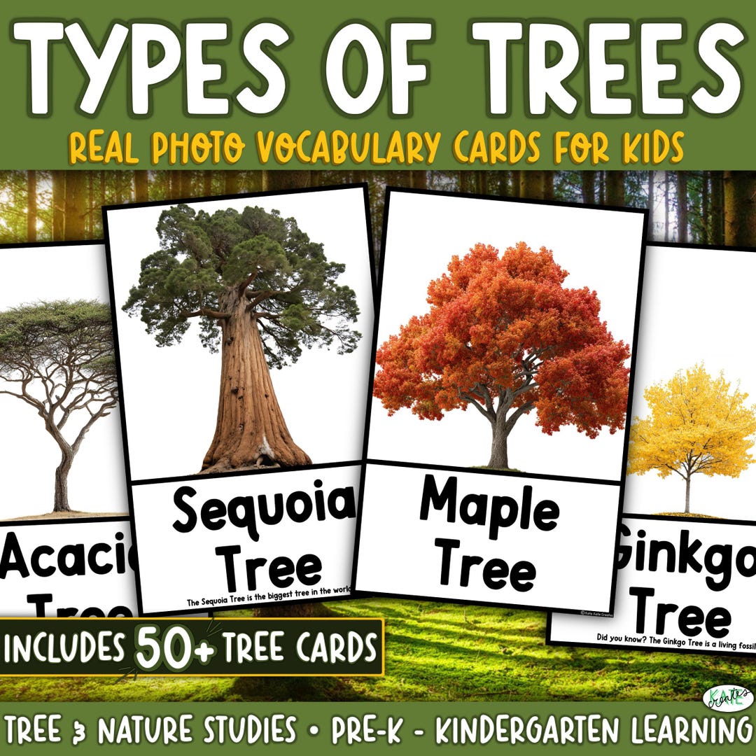 Types of Trees Vocabulary Cards, Printable Creative Curriculum Tree ...