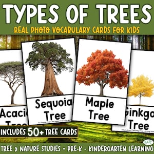 May include: Educational flashcards featuring real photos of different tree types, including Acacia, Sequoia, Maple, and Ginkgo trees. The cards are designed for kids and include the text "TYPES OF TREES" and "REAL PHOTO VOCABULARY CARDS FOR KIDS". The set includes over 50 tree cards.