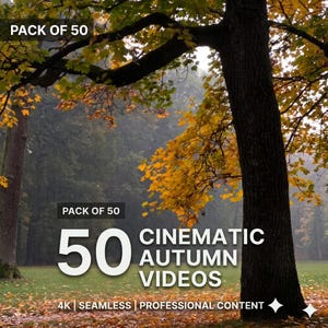 Pode incluir: Uma coleção digital de 50 vídeos cinematográficos de outono apresentando um parque com árvores de folhagem amarela e laranja. O texto diz PACK OF 50, 50 CINEMATIC AUTUMN VIDEOS e 4K SEAMLESS PROFESSIONAL CONTENT.