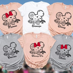 Disney Birthday Shirts, Matching Family Shirts, Disney Squad Shirts, Family Disney Shirts, Disney World Shirts, Disney Trip Shirts