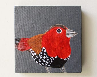 red-throated twinspot / original painting on canvas