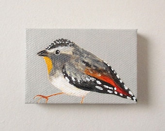 spotted pardalote / original small painting on canvas
