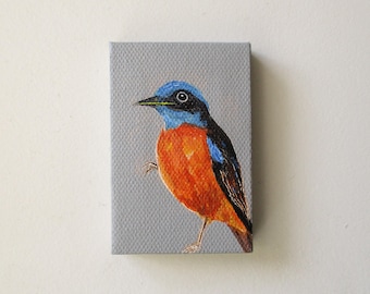 blue capped rock thrush / original small painting on canvas