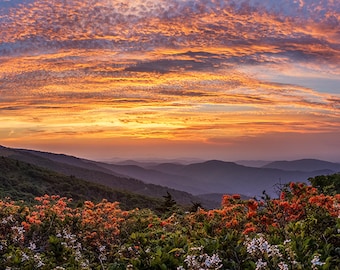 Summer Sunset - Mountain Sunset - Blue Ridge Mountains, Roan Mountain, Flaming Azalea, Blue Ridge Sunset, Rays of Light