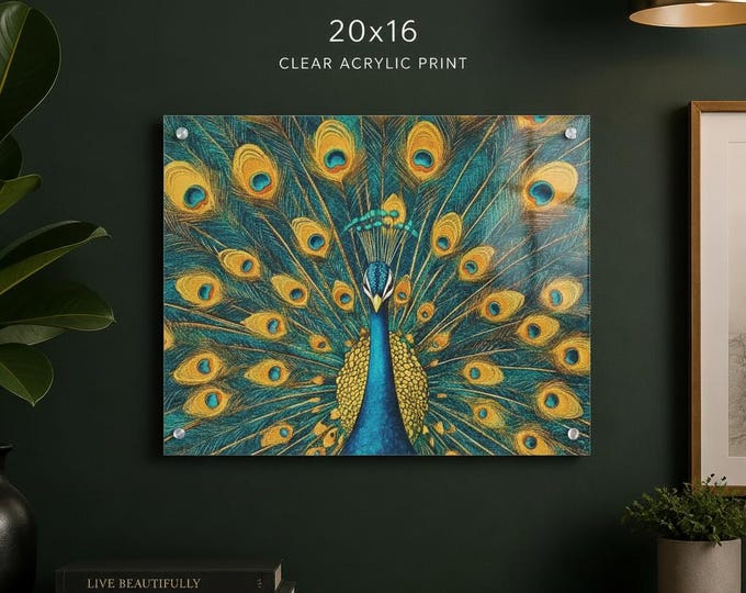 Peacock Feather Illustration Acrylic Print | French Cleat Hanging