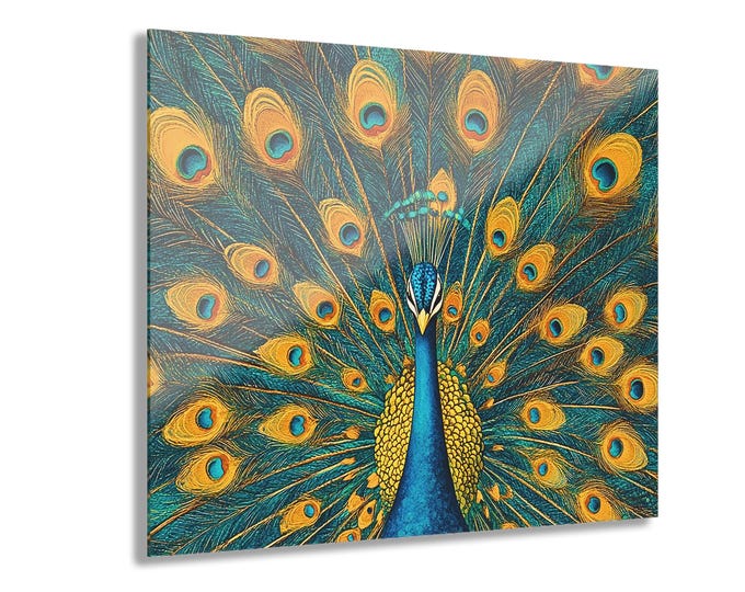 Peacock Feather Illustration Acrylic Print | French Cleat Hanging