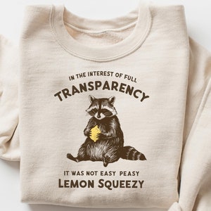 In The Insterest Of Full Transparency It Was Not Easy Peasy Meme Raccoon Sweatshirt, Retro 90s Raccoon T-shirt, Raccoon Lover Gift