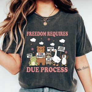 Comfort Defund ICE Shirt, Animals Protest Tshirt, ICE Out Of LA Tee, Abolish Ice Sweatshirt, Cute Equal Rights Shirt, Trump Hater Gift
