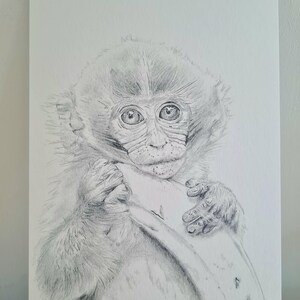 Affe A5 Bleistift Druck