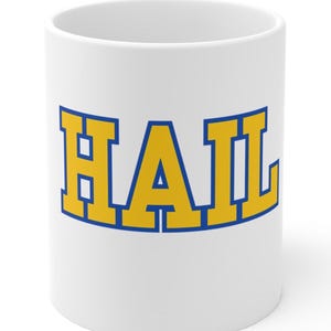 Michigan Wolverines Coffee Mug, University of Michigan Mug, NCAA Sports Fan Gift, Football Fan Mug, College Team Spirit Mug, Hail Wolverines