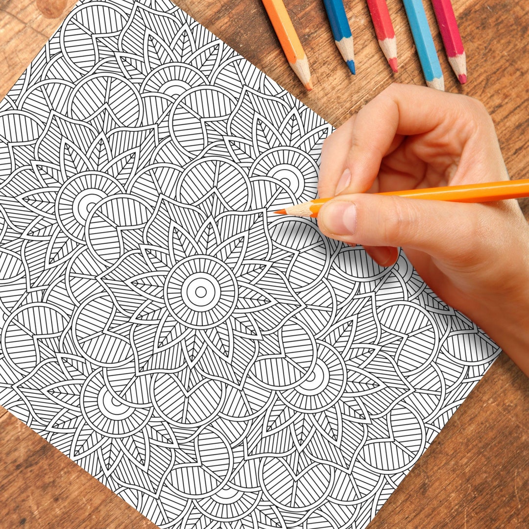 Printable Intricate Design Adult Coloring Pages Bundle 23 Calming ...