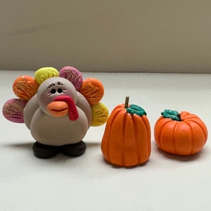 Turkey with pumpkins