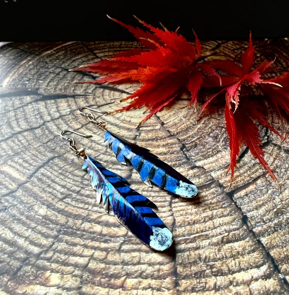 Lot - Zuni Turquoise Blue Jay Earrings