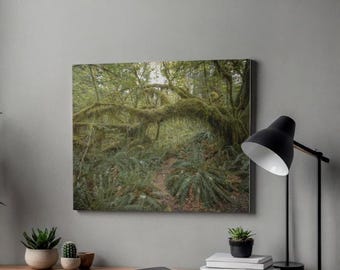 Hoh Rainforest Canvas Print, Washington Forest Photography, Moss & Ferns