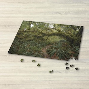 秋の滝のジグソーパズル | ミシガン州ラビットリバーダム - Etsy 日本