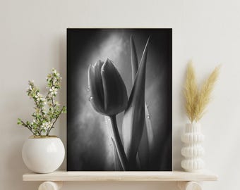 Black and White Tulip Canvas Print | Moody Floral Photography