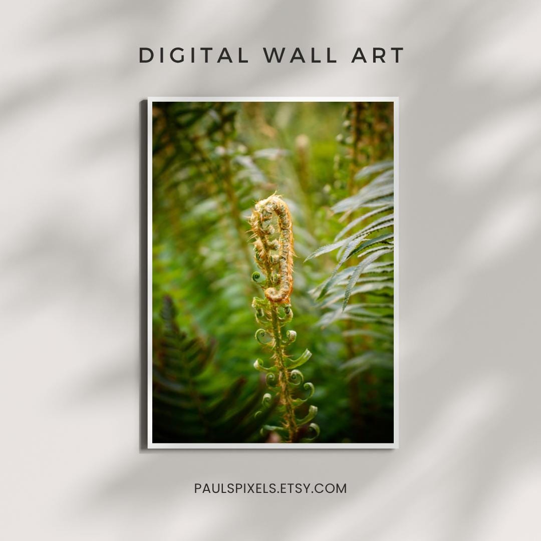 Unfurling Fiddlehead Fern Poster | Fern Fiddlehead Plant Digital Print | Nature Printable | Greenery Wall Art | Botanical Illustration |