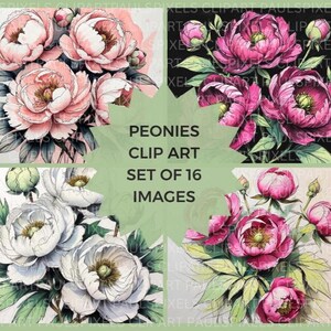 Pfingstrose Clipart Bundle | Set von 16 Clipart-Bilder | Blumen Clipart Bundle | Hochzeit Clipart | Stationär Clipart | POD Bilder | Grusskarten