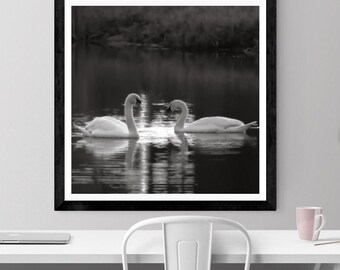 Ethereal Lovebirds: Serene Swans in a Romantic Digital Image for Lovebirds | Graceful White Birds | Peaceful Home Decor | Serene Wall Art |