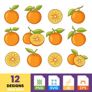 Oranje fruit-clipart | Citrusvruchtenstickers | Handgetekende oranje clipart | Digitale png en svg