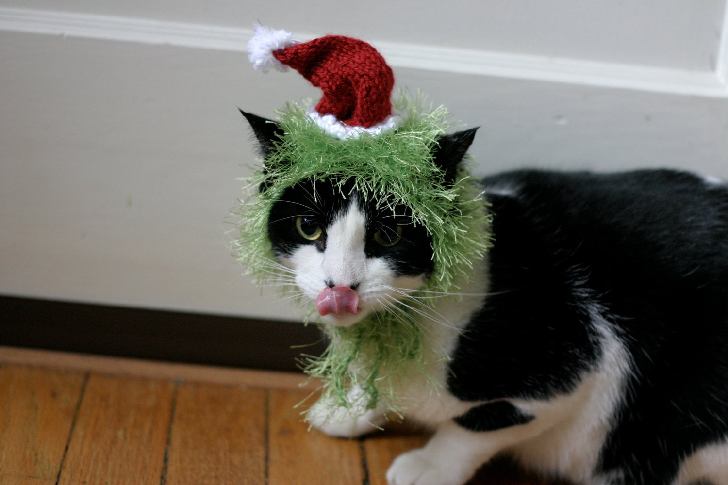 Grinch cat costume hotsell