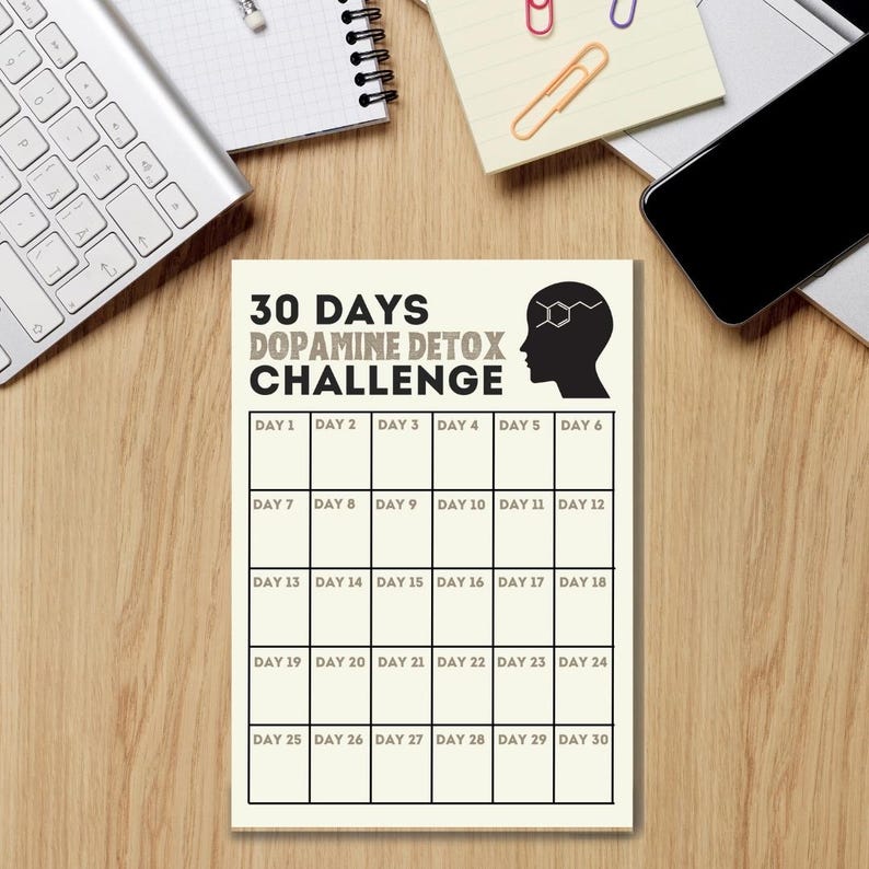 30-Day Dopamine Detox Challenge Printable: Mindful Living (Digital Download) image 5