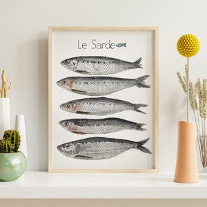 May include: A framed print with the title "Le Sarde" and a black and white illustration of six sardines. The sardines are arranged vertically in a row, with their tails pointing to the right. The print is on a white background and is framed in a light wood frame.