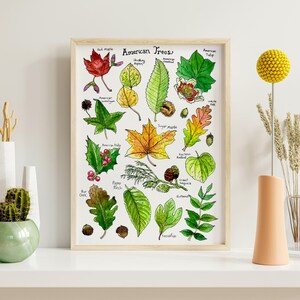 May include: A framed watercolour print titled "American Trees" shows illustrations of leaves in green, red, and yellow. The print is on a white shelf, with vases and yellow floral accents. The print is approximately 30 cm wide.