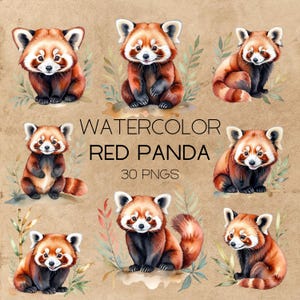 Aquarel rode panda clipartbundel | 30 schattige digitale ontwerpen