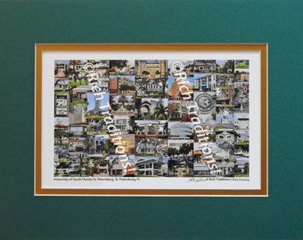 University of South Florida, St. Petersburg, Florida Photo Campus Art Print matted in green and white  Keep Those College Memories Alive