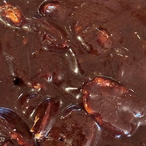 Chocolate Pecan Brittle 8 oz
