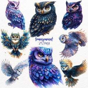 May include: A set of 25 digital illustrations of owls with a galaxy-inspired design. The owls are depicted in various poses, with some looking directly at the viewer and others looking away. The owls are all rendered in a realistic style, with detailed feathers and bright colors.