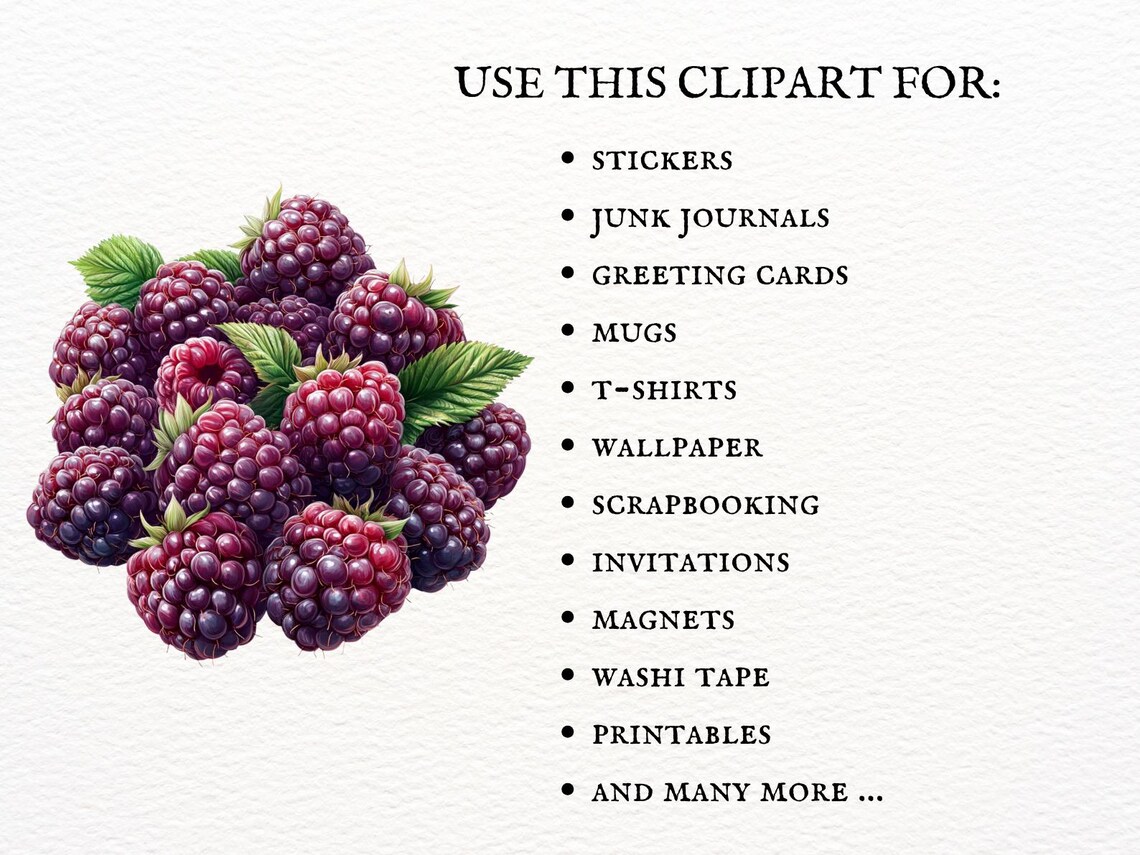 12 Raspberries Clipart Bundle, Printable Watercolour, JPG Set Junk ...