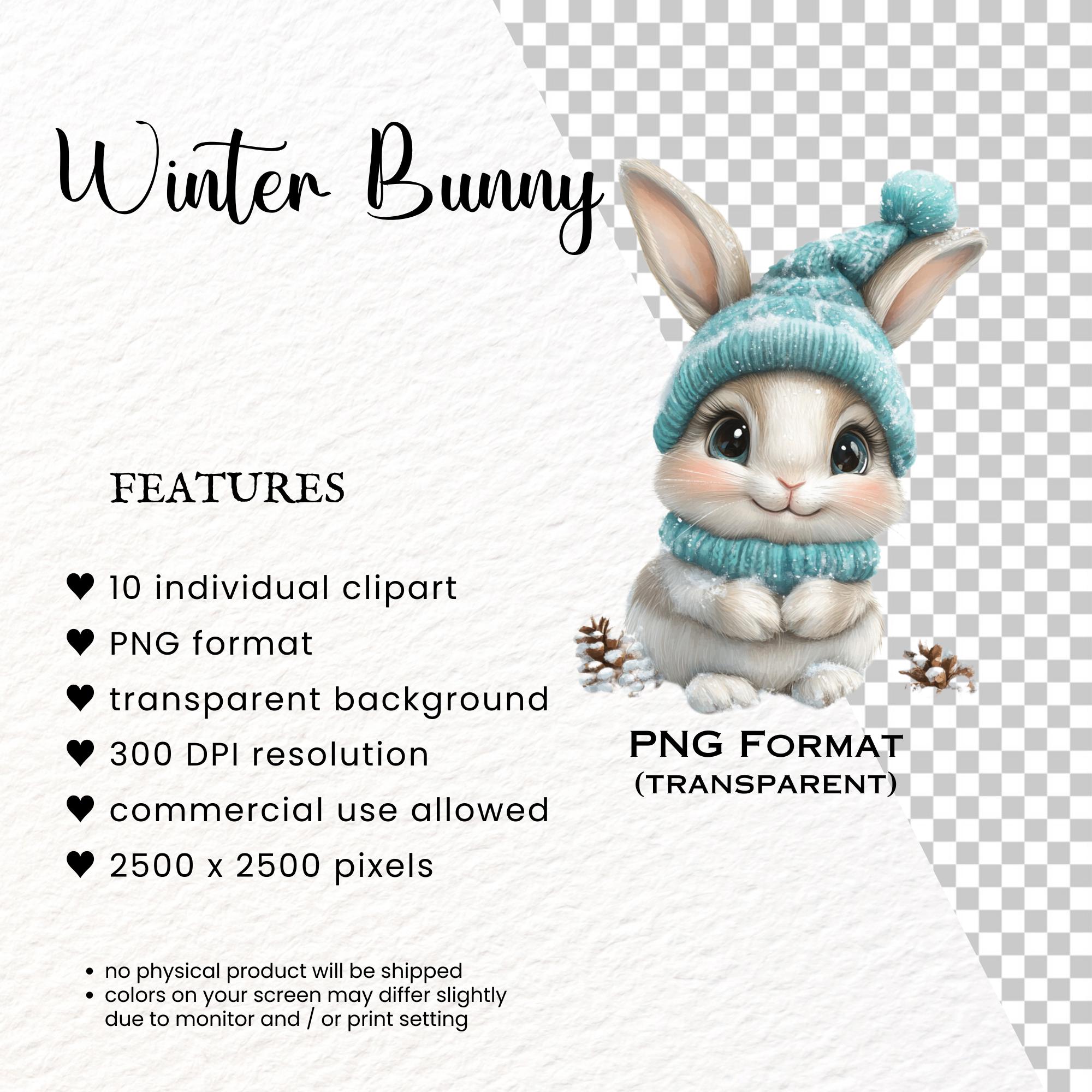Winter Bunny Clipart PNG Bundle: Christmas Graphics (commercial Use) - Etsy