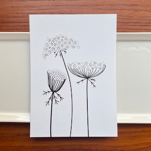 Queen Anne’s Lace Art Print 5” x 7” Flower Art