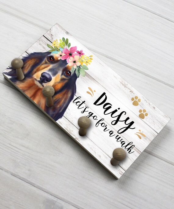 dachshund leash holder