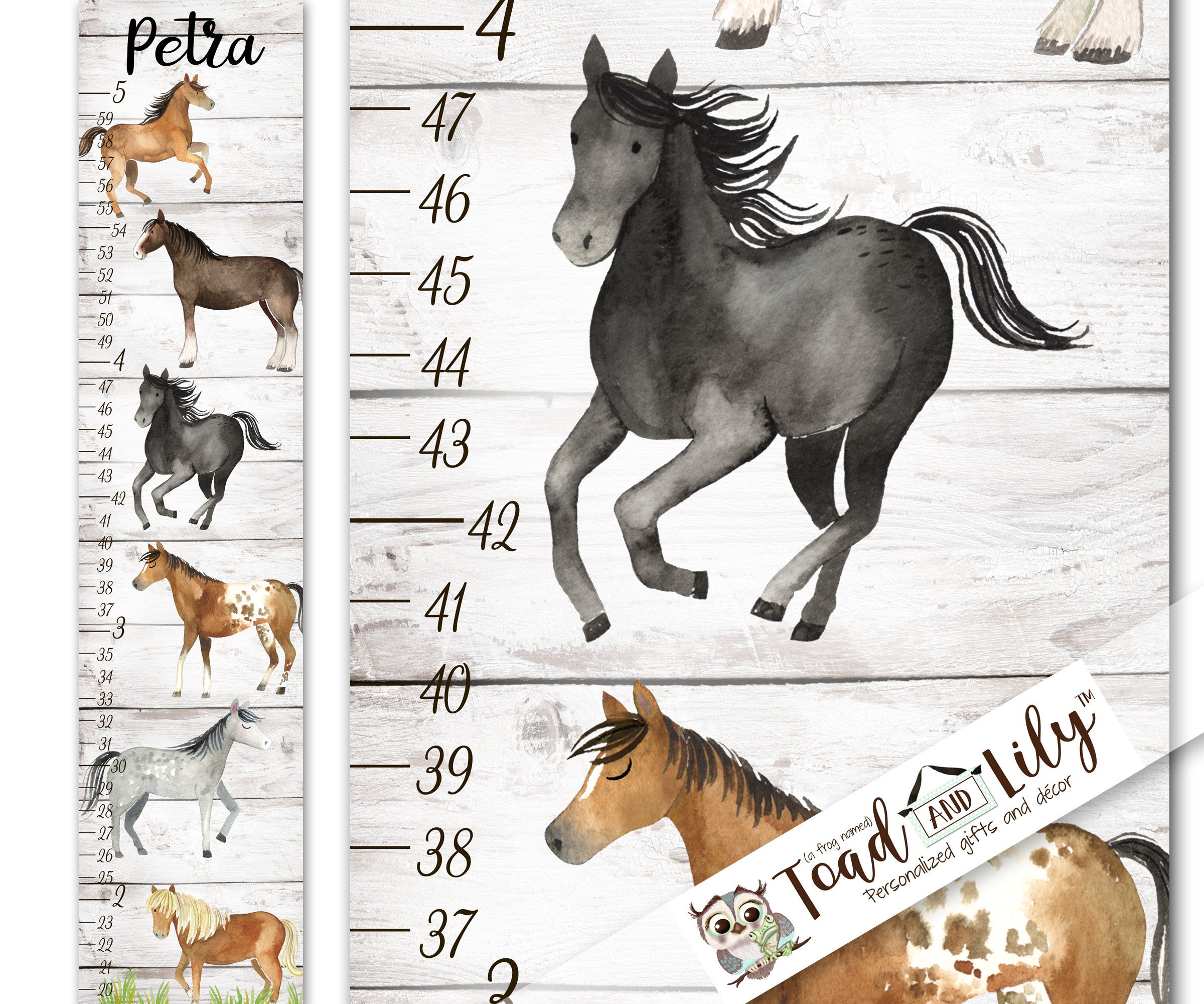 Samuel overschrijving Geleerde Canvas GROWTH CHART Wild Horses Pony All the Pretty Horses - Etsy Sweden