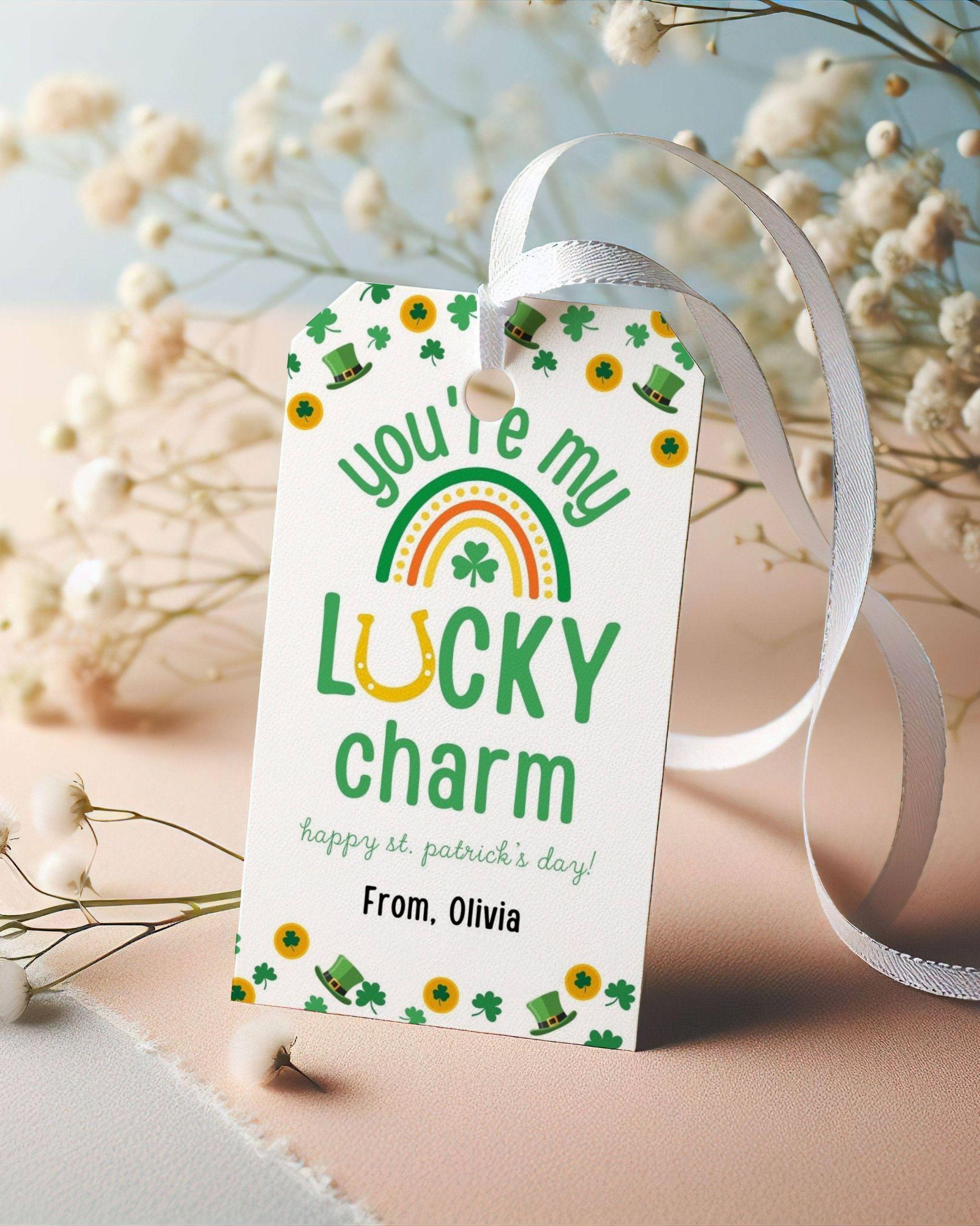 Portachiavi Portafortuna Con Quadrifoglio E Arcobaleno – Regalo Di Buona Fortuna In Acciaio Inox Per Insegnanti, Colleghi E Amici