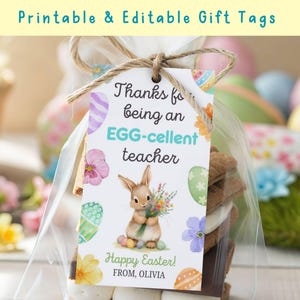 Może przedstawiać: Przezroczysta torebka celofanowa, zawiązana sznurkiem, zawierająca smakołyk s'mores i etykietę prezentową. Na etykiecie napisano "Dziękuję za bycie EGG-celentnym nauczycielem" z ilustracją królika i tekstem "Wesołych Świąt Wielkanocnych!".