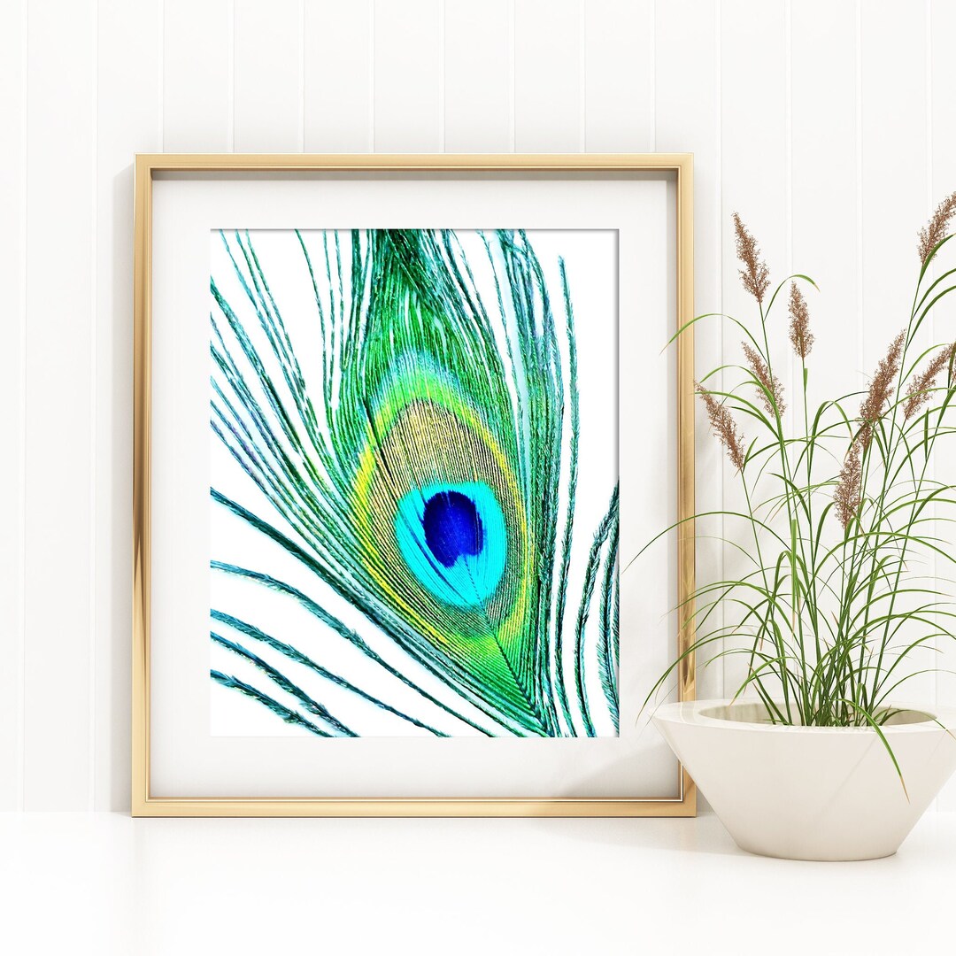 Peacock Feather Printable Art, Peacock Feather Wall Art, Digital ...
