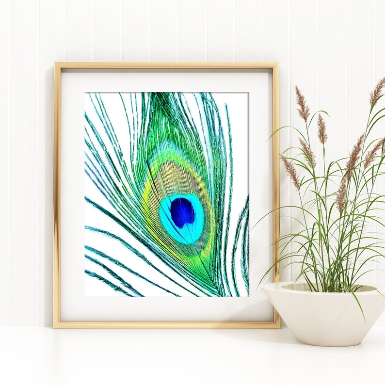 peacock-feather-printable-art-instant-download-etsy